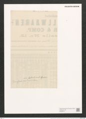 Amphiprora decussata var. septentrionalis Grun. (de-Toni-Nr.: Genus 29, Species 1319) Zeichnungen Sammlung Grunow (NHMW-BOT-W0369721)